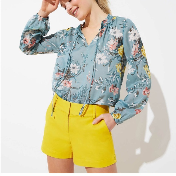 LOFT Pants - ❗️BOGO❗️Ann Taylor Loft Shorts